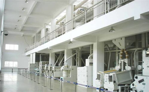 年產(chǎn)10000噸大米加工廠整體規(guī)劃與設(shè)備布局設(shè)計